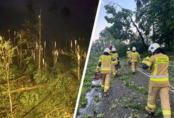Żywioł spustoszył wieś. Straszne zdjęcia z woj. śląskiego