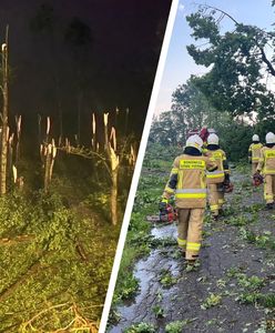 Żywioł spustoszył wieś. Straszne zdjęcia z woj. śląskiego