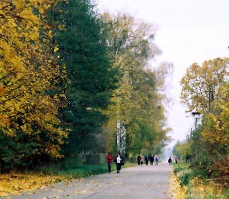 Obraz