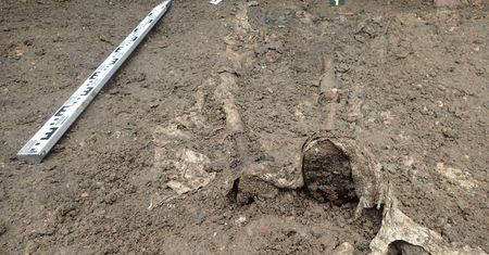 Odkrycie archeologów w Rudzicy. Masowy grób żołnierzy przy kościele