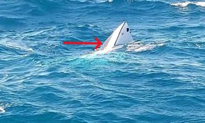 Wypłynęli mimo ostrzeżeń. Łódź nie miała szans we wzburzonym oceanie