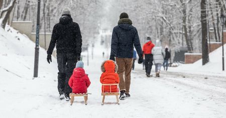 Śniegu w tym roku nie będzie? Ekspert z IMGW nie pozostawia złudzeń