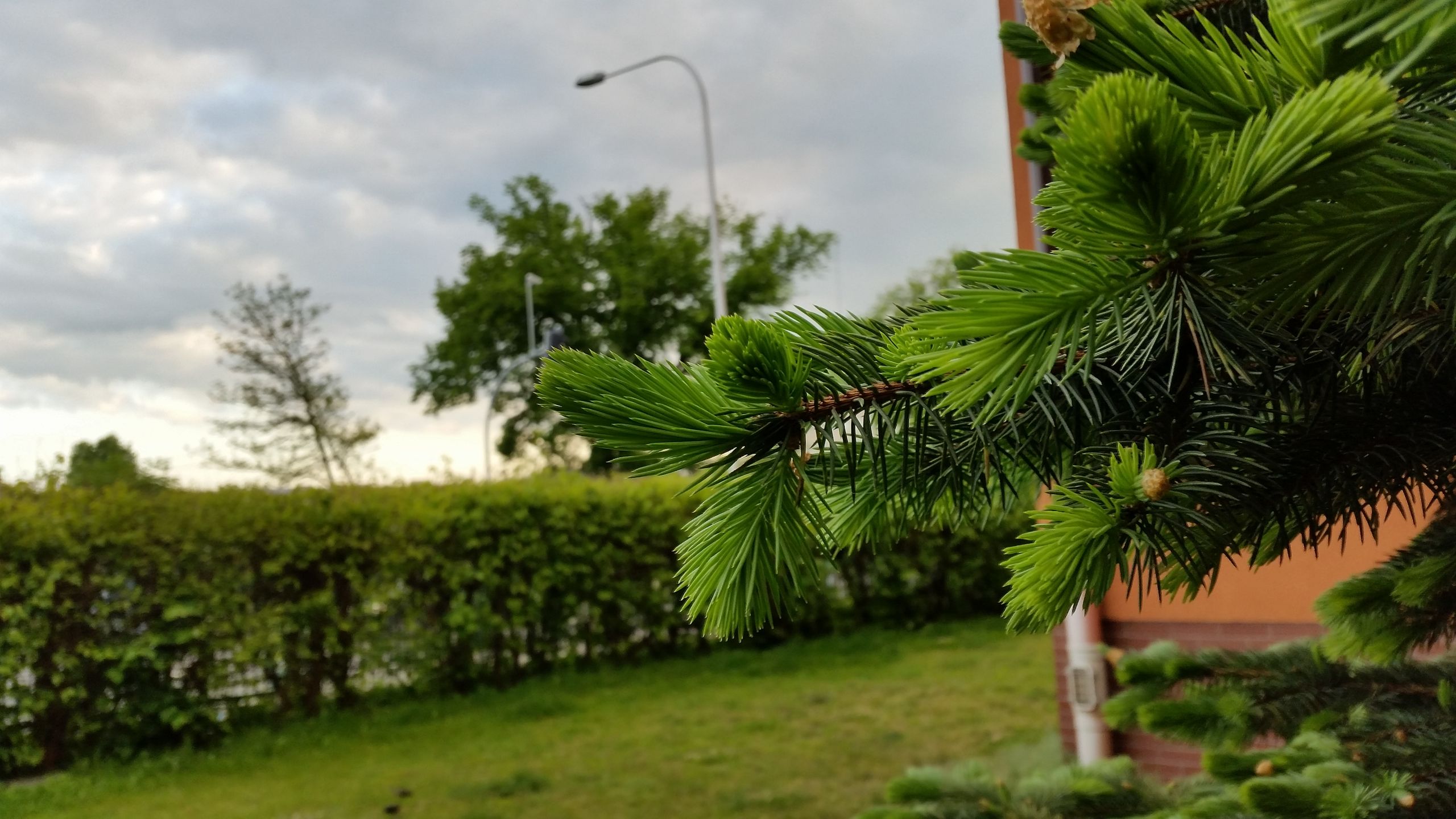 Samsung Galaxy S5: podsumowanie testów i recenzja 49
