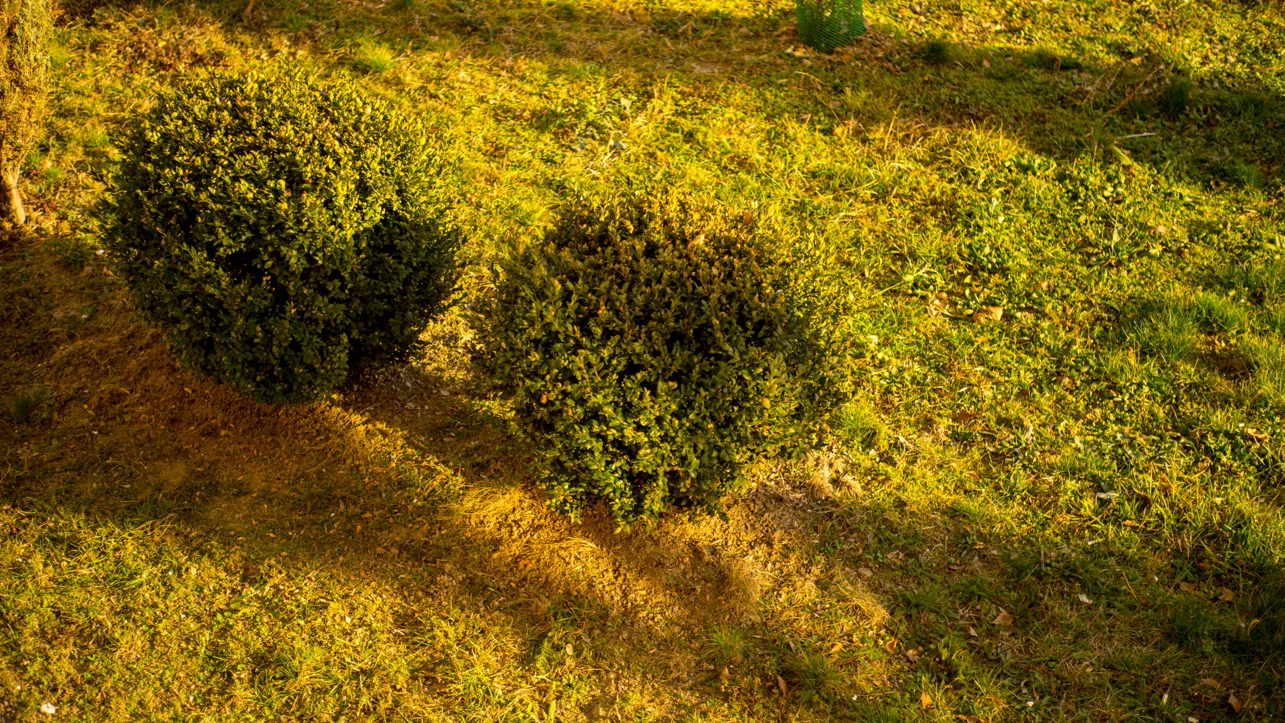 Najtańszy standard do bezlusterkowców - Industar L/D 55 mm f/2,8 7