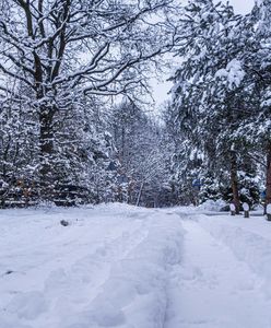 Ekstremalne mrozy w Rosji. Zimniej niż na Antarktydzie