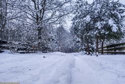 Ekstremalne mrozy w Rosji. Zimniej niż na Antarktydzie