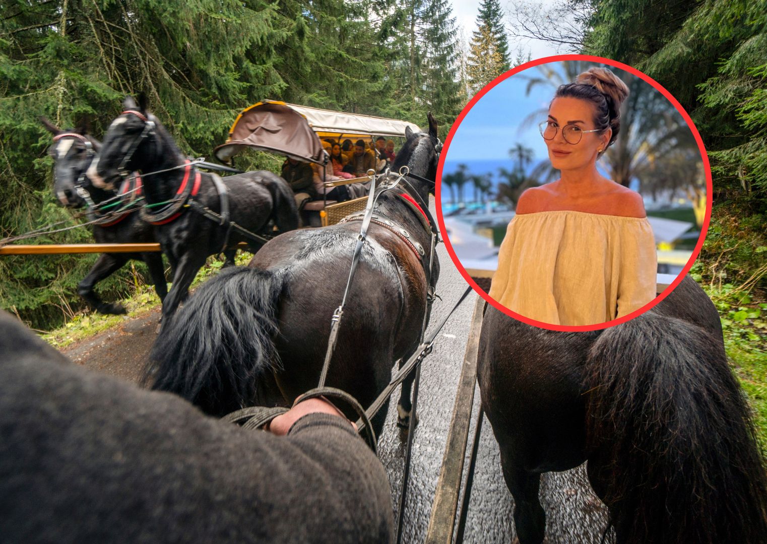 Hanna Lis domaga się zakazu wożenia turystów końmi do Morskiego Oka