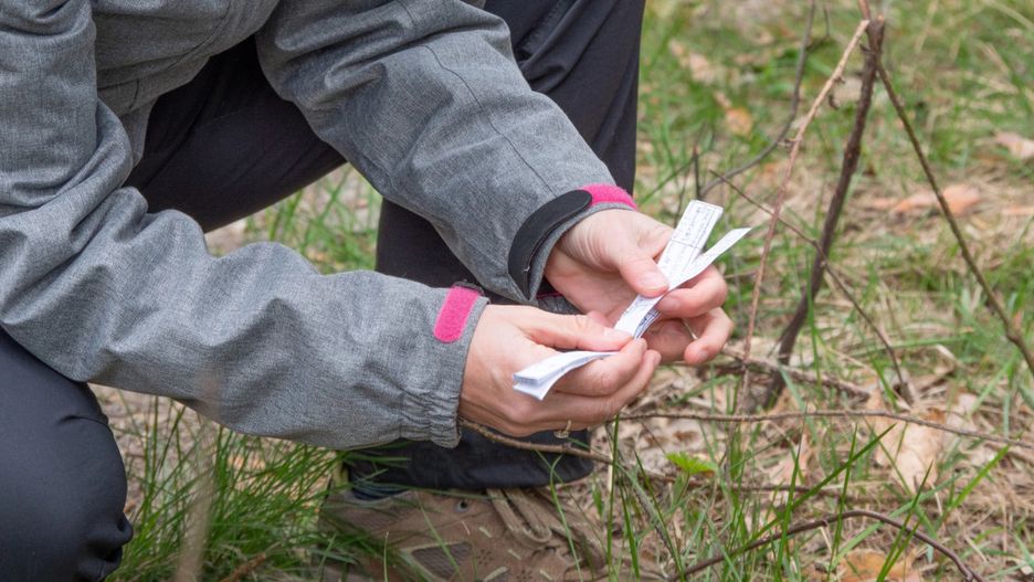 Zdjęcie ilustracyjne. Depositphotos