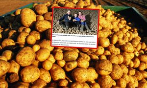 Mają aż 120 ton. Ogłosili wielką akcję. Oto odzew po ruchu Belgów