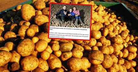 Mają aż 120 ton. Ogłosili wielką akcję. Oto odzew po ruchu Belgów