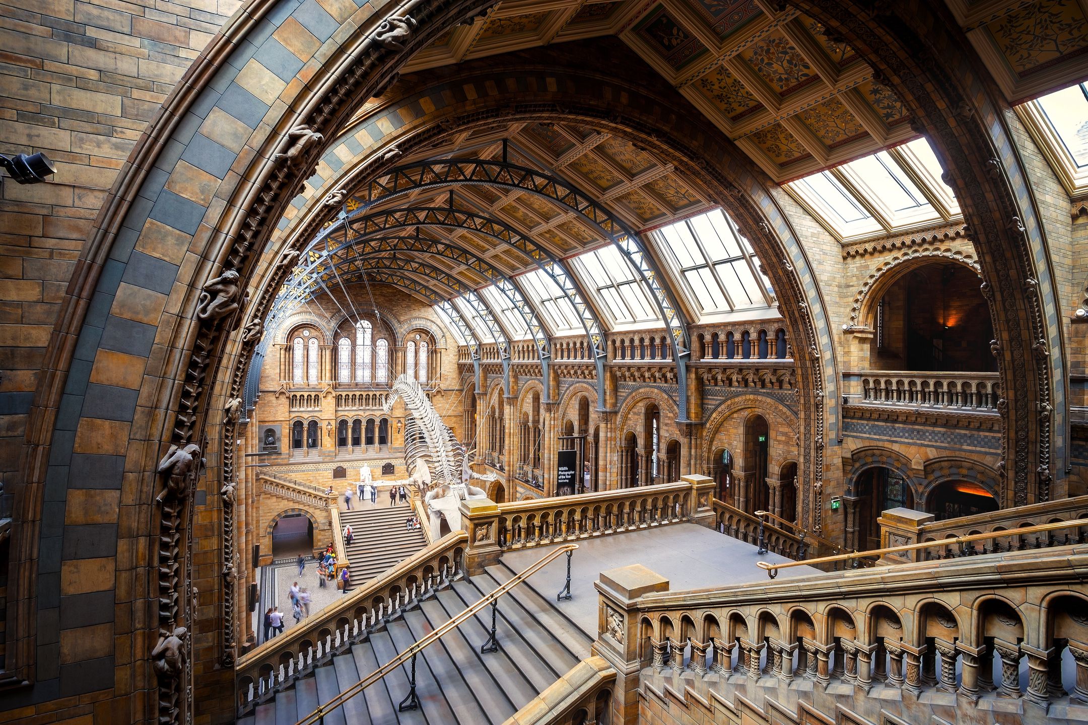 Muzeum Historii Naturalnej uchodzi za wizytówkę Londynu 