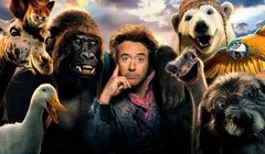 Grudniowe premiery Canal+: „Pętla”, „Doktor Dolittle”, „Świat w ogniu”, „Włoskie wakacje”