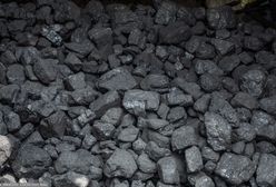 Ceny węgla w Polsce. Oto ile kosztuje tona opału