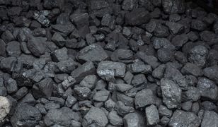 Ceny węgla w Polsce. Oto ile kosztuje tona opału