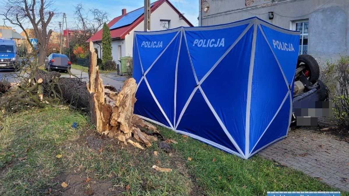 Śmiertelny wypadek 