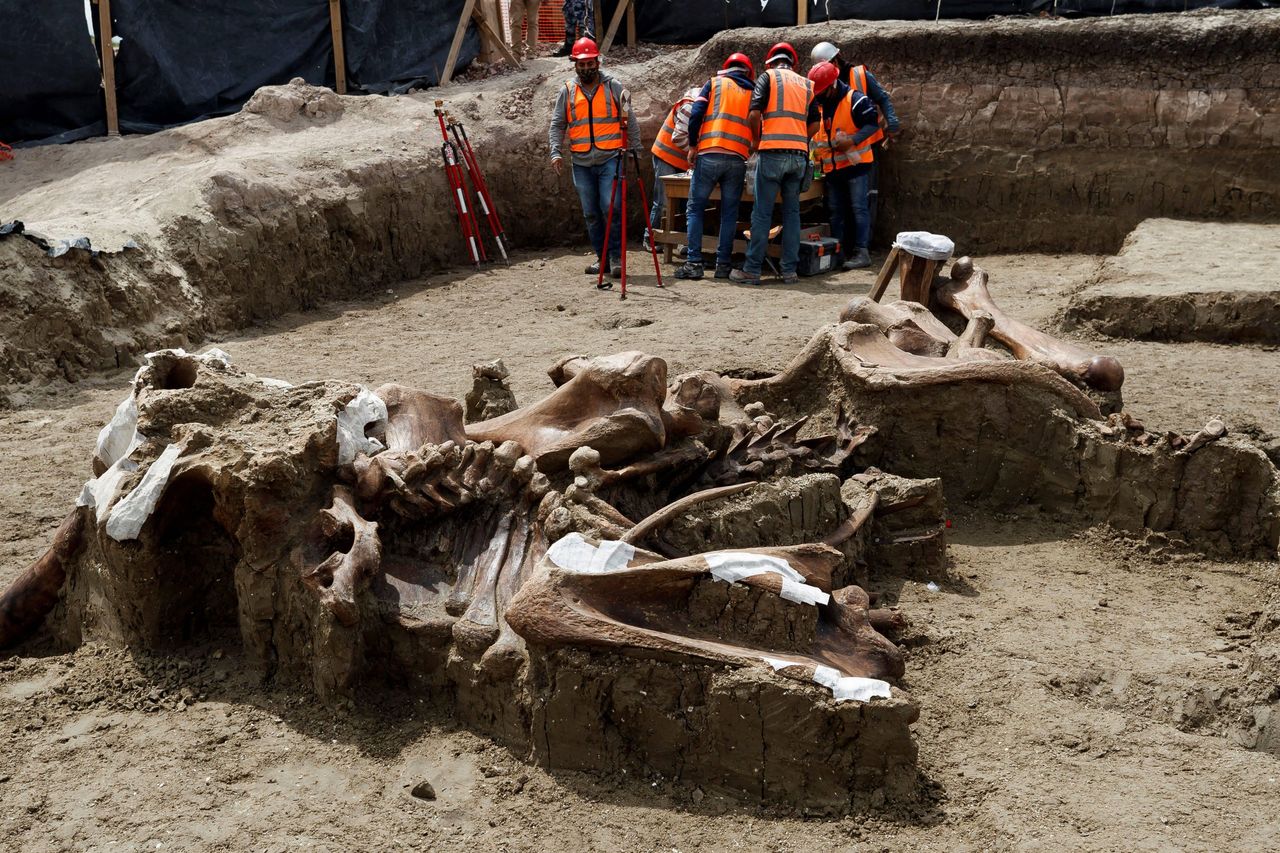 W miejscu znaleziska w czasach prehistorycznych znajdowało się jezioro.