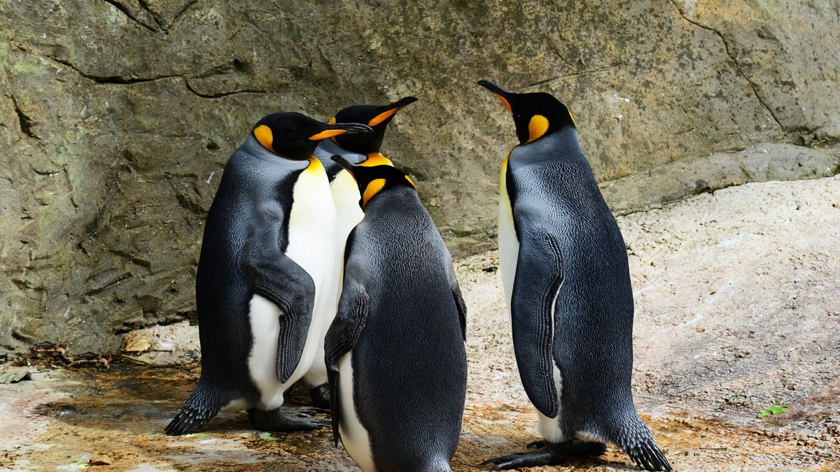 Linux, GRUB i UKI
