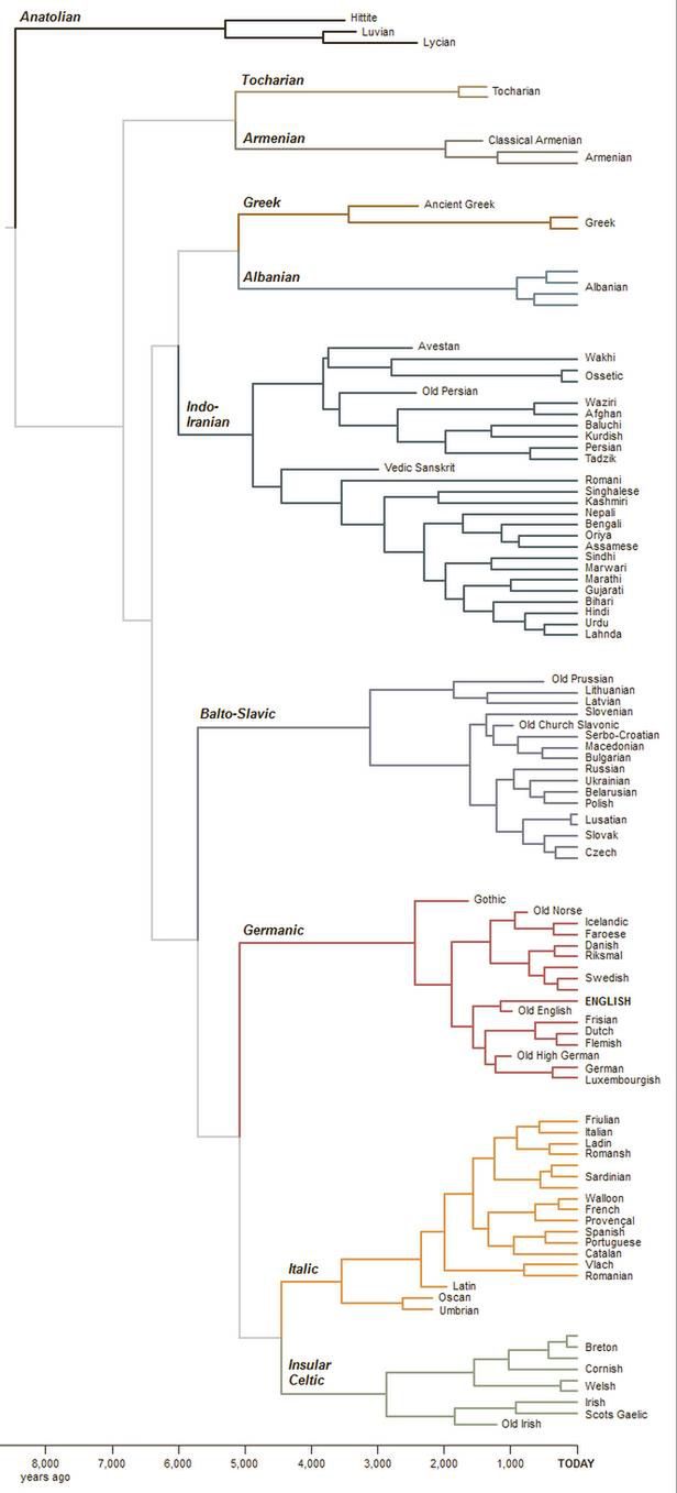 Wiemy, skąd pochodzi język polski. Poznajcie jego drzewo genealogiczne 3