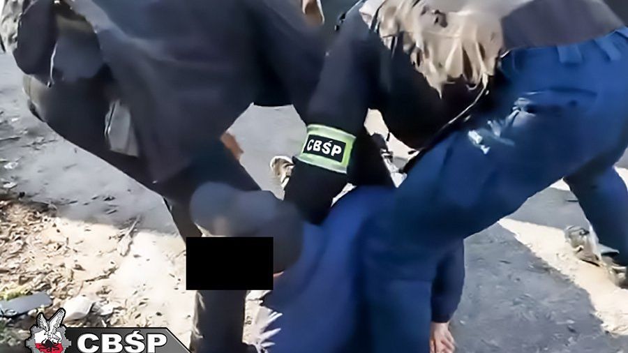 policja