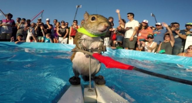 TOP10 reklam na YouTube: Always, Coca-Cola, GoPro, iPhone (wideo)