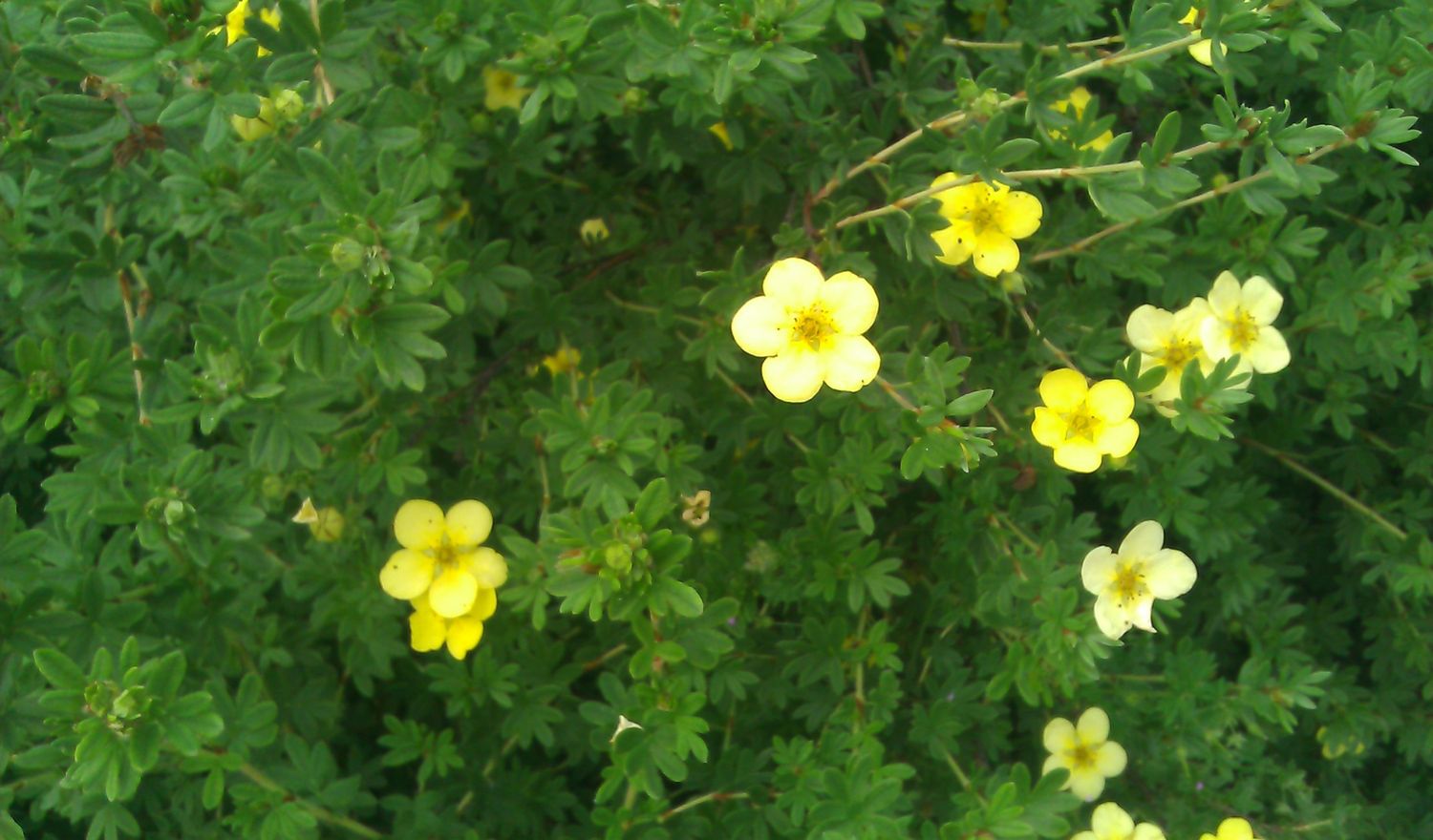 HTC Flyer – test 16