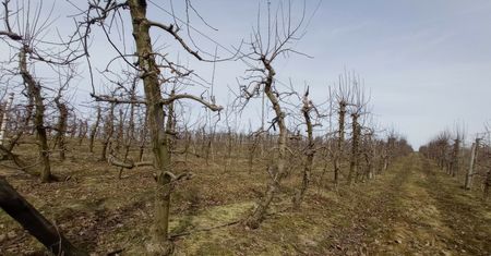6 tys. zł dla poszkodowanych rolników. Zostało niewiele czasu na wniosek