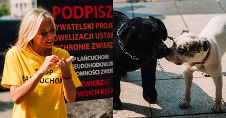Kasia Moś zaangażowała się w obywatelski projekt nowelizacji ustawy o ochronie zwierząt. "ZERWIJMY ŁAŃCUCHY i zmieńmy prawo raz na zawsze"