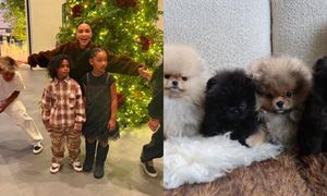 Kim Kardashian w ogniu krytyki za sprezentowanie czwórce dzieci po szczeniaku: "To jest PO*EBANE"