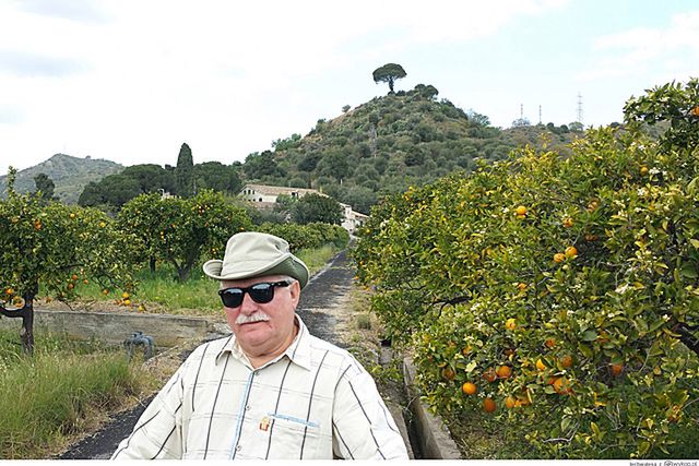 Obraz