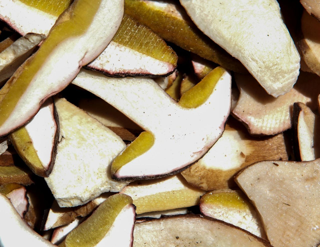 Cenne źródło białka i witamin. Jednak dla tych osób grzyby są zakazane