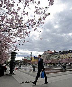Polacy są trzecią grupą cudzoziemską w Szwecji