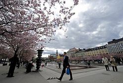 Polacy są trzecią grupą cudzoziemską w Szwecji