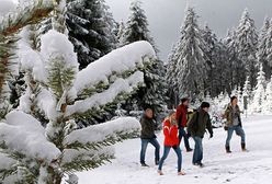 Zima wróciła; 10 stopni mrozu i gruba warstwa śniegu