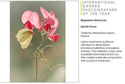 Polka zrobiła zdjęcie roku, dostała nagrodę