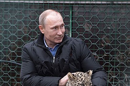 Władimir Putin przed igrzyskami sfotografował się z lampartem w Soczi