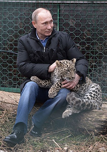 Władimir Putin przed igrzyskami sfotografował się z lampartem w Soczi