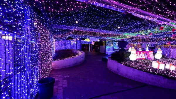 Australijczyk użył 1 194 380 kolorowych diod LED-owych