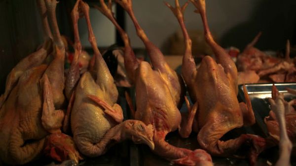 Wietnam wstrzymuje import chińskiego drobiu