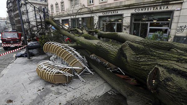 Wiatr łamał drzewa jak zapałki