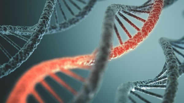 Za kilka lat każdy będzie mógł odszyfrować swój kod DNA