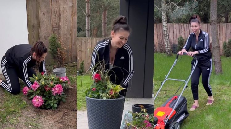 Żona detektywa chwali się borówkami w ogrodzie