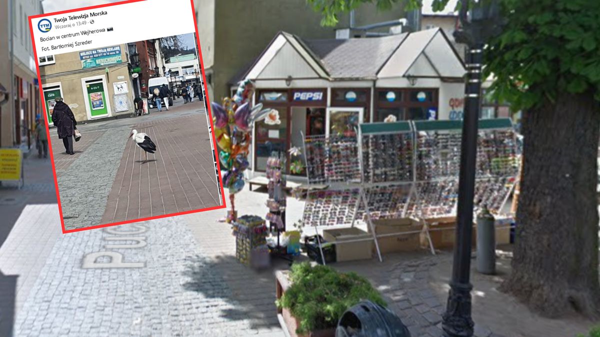 Wybrał się na spacer po mieście. Wywołał spore zainteresowanie