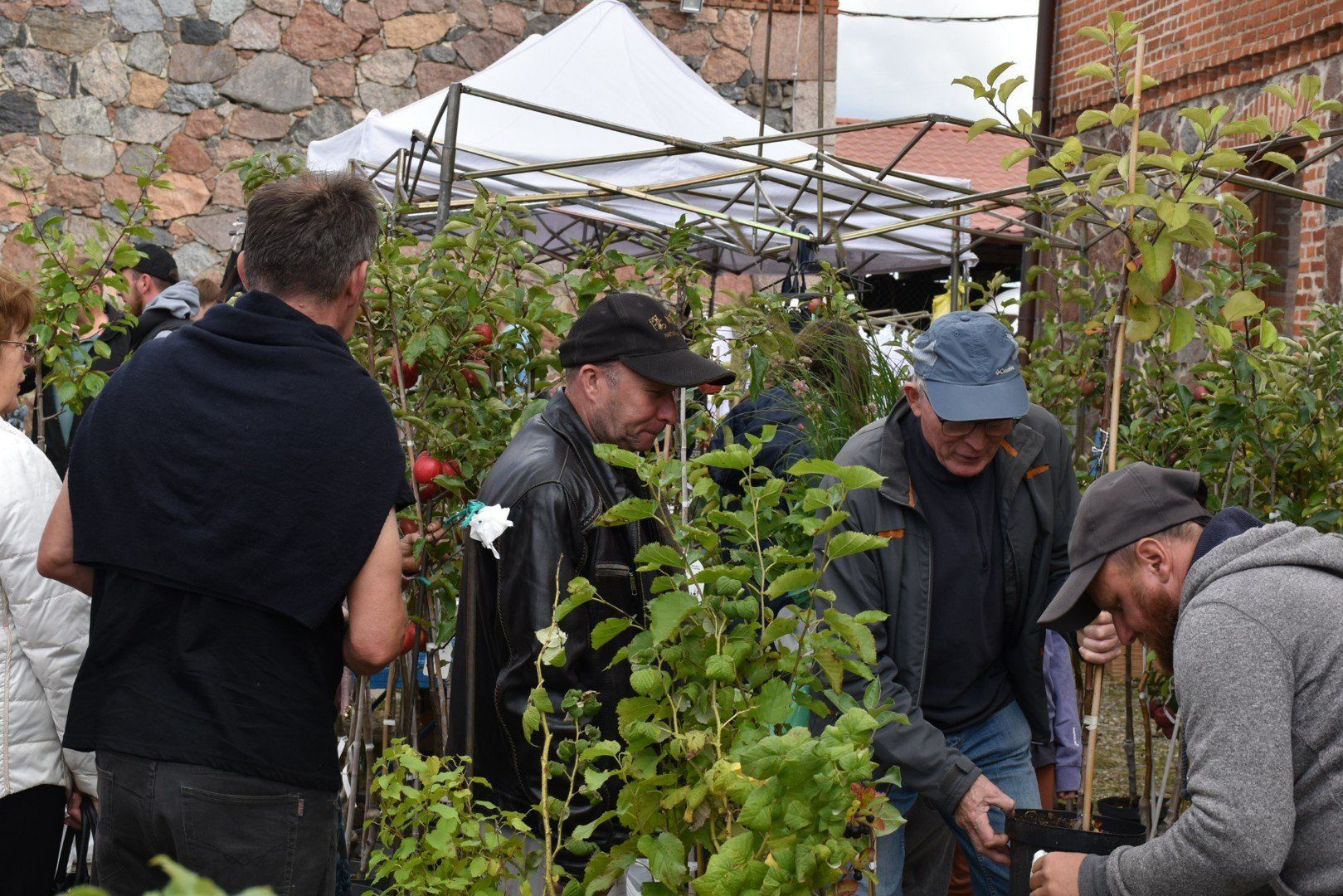 Dożynki powiatu starogardzkiego