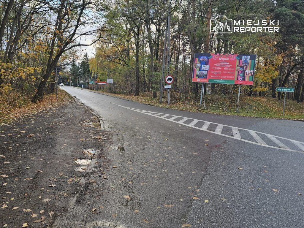 Droga asfaltowa z liśćmi na poboczu, billboard z informacjami w tle, zarośla po lewej stronie.