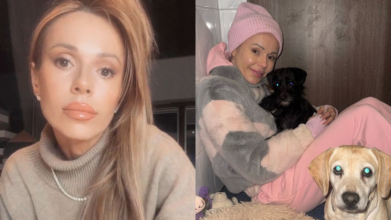 Schronisko w Sobolewie ZAMKNIĘTE. Doda ogłasza sukces. "Zrobiliśmy to!"