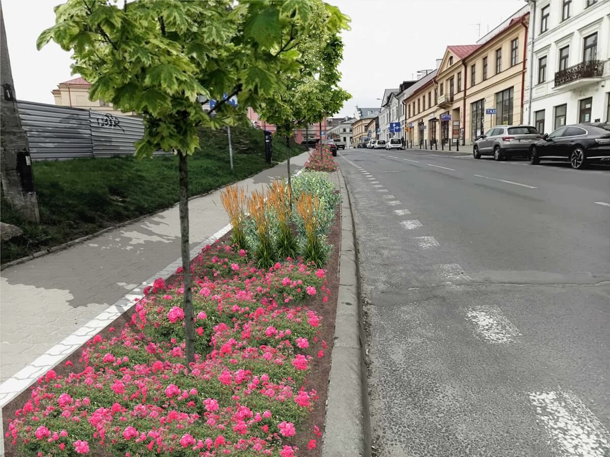 Wizualizacja ul. Świętoduskiej z nasadzeniami - klony, róże, irgi i trzcinniki