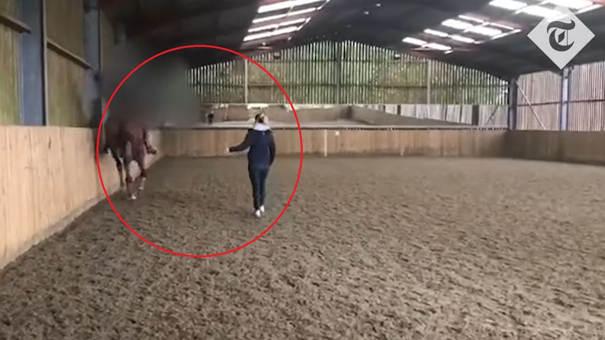 Mistrzyni olimpijska Charlotte Dujardin uderzyła konia 24 razy