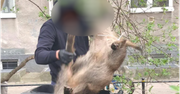 Horror na oczach mieszkańców Warszawy. Dziki zabite na placu zabaw