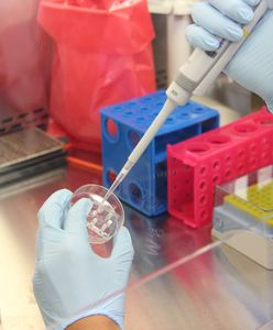 Koronawirus. Jak długo utrzymuje się odporność?