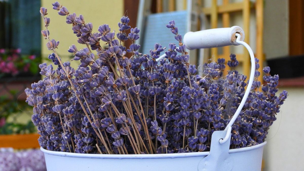 Ten środek do czyszczenia pachnie i sprząta obłędnie 